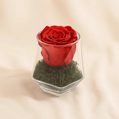 Red Forever Rose Vase