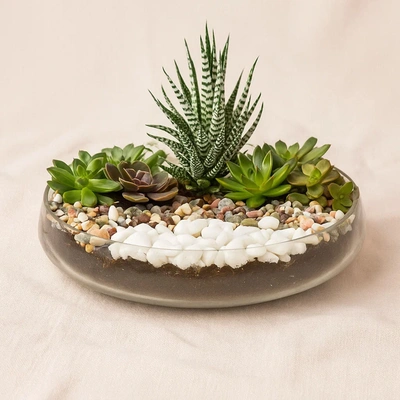 Succulent Garden Glass Bowl