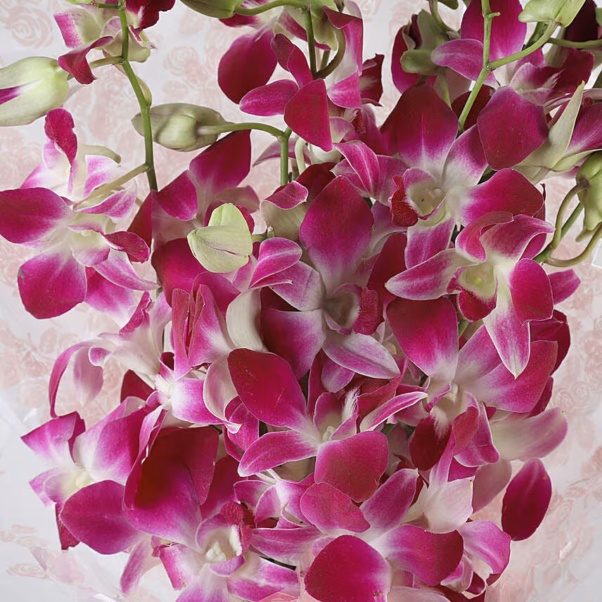 Royal Orchid Bunch With Chocolate Cake