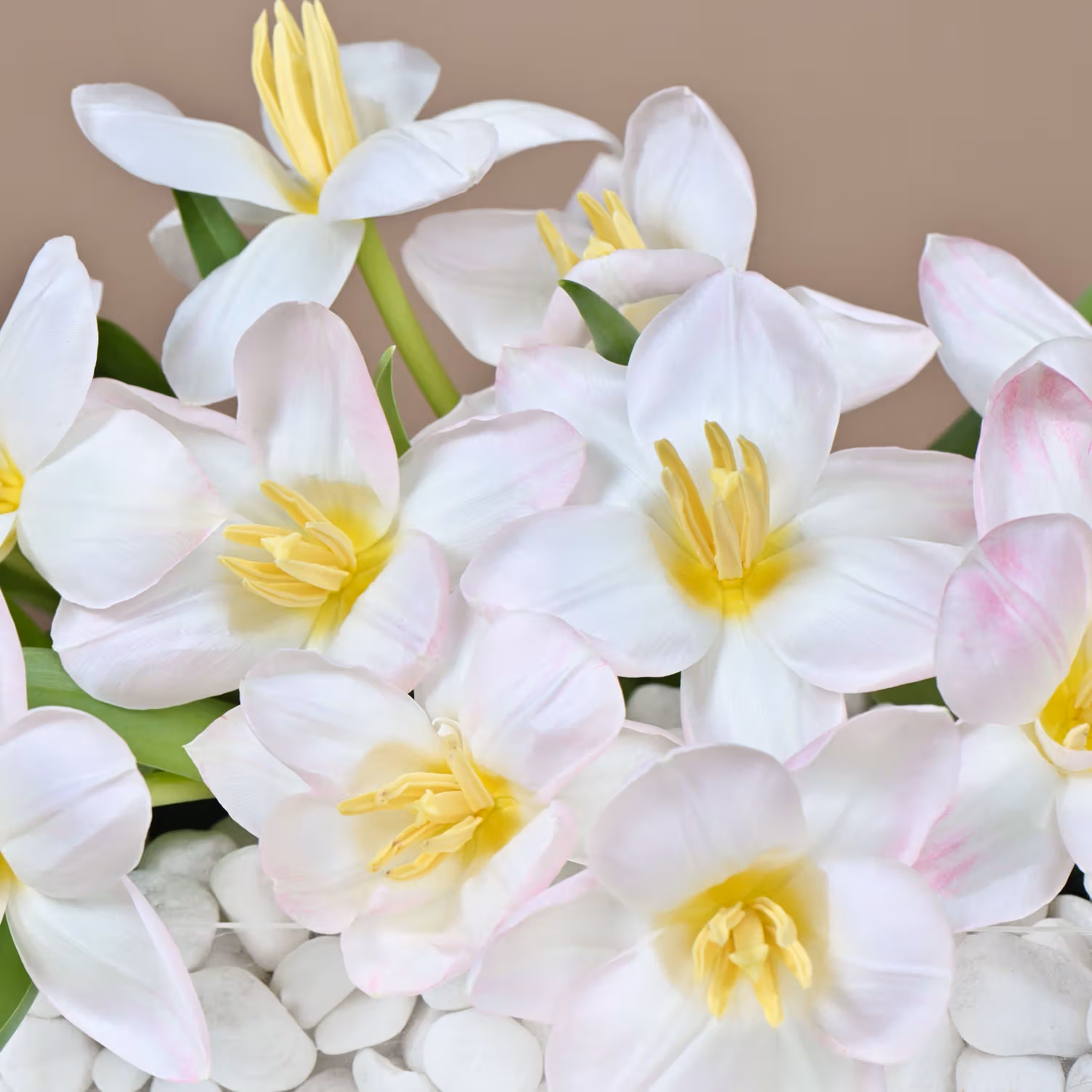 Tulips Arrangement