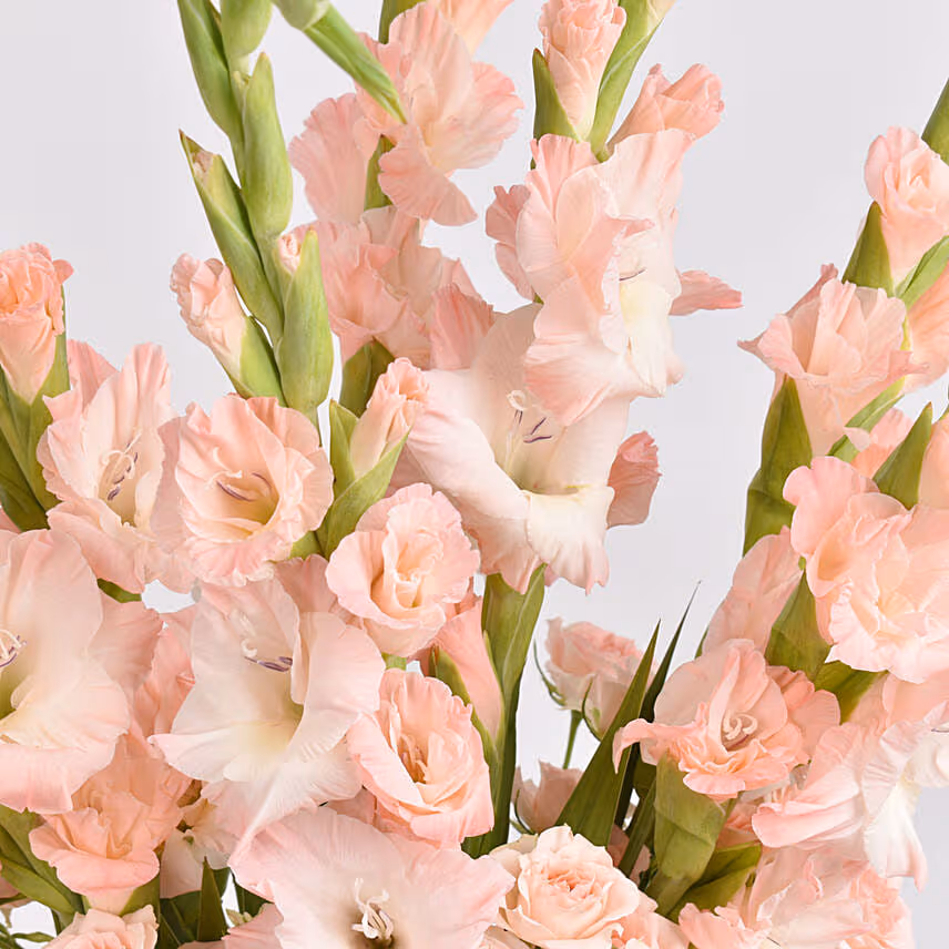 Galdiolus Flowers Beauty Arrangement