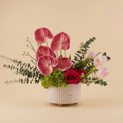 Pink Anthurium & Tulip Masterpiece