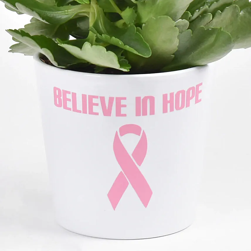 Believe in Hope Plant