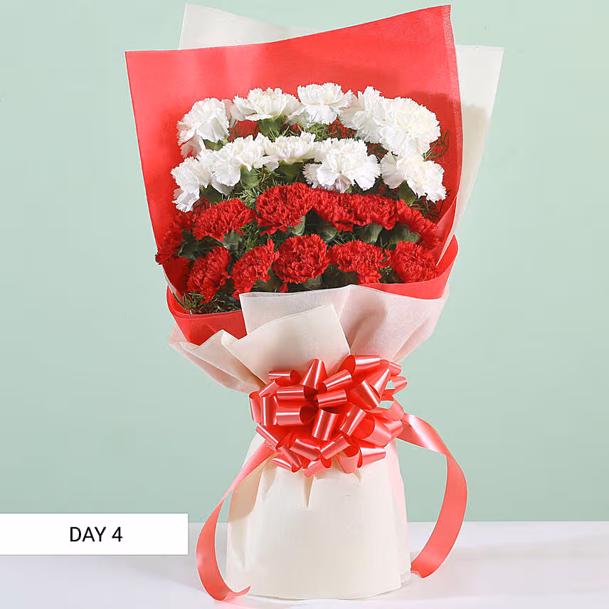 Beautiful Carnations Everyday