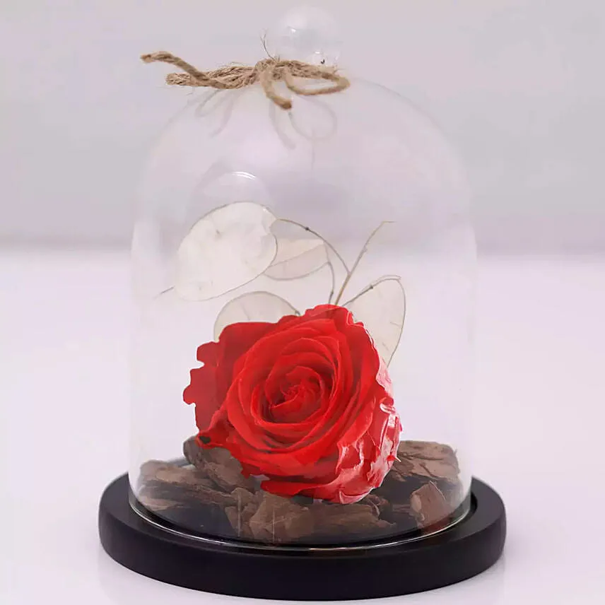 Forever Rose and Musical Globe