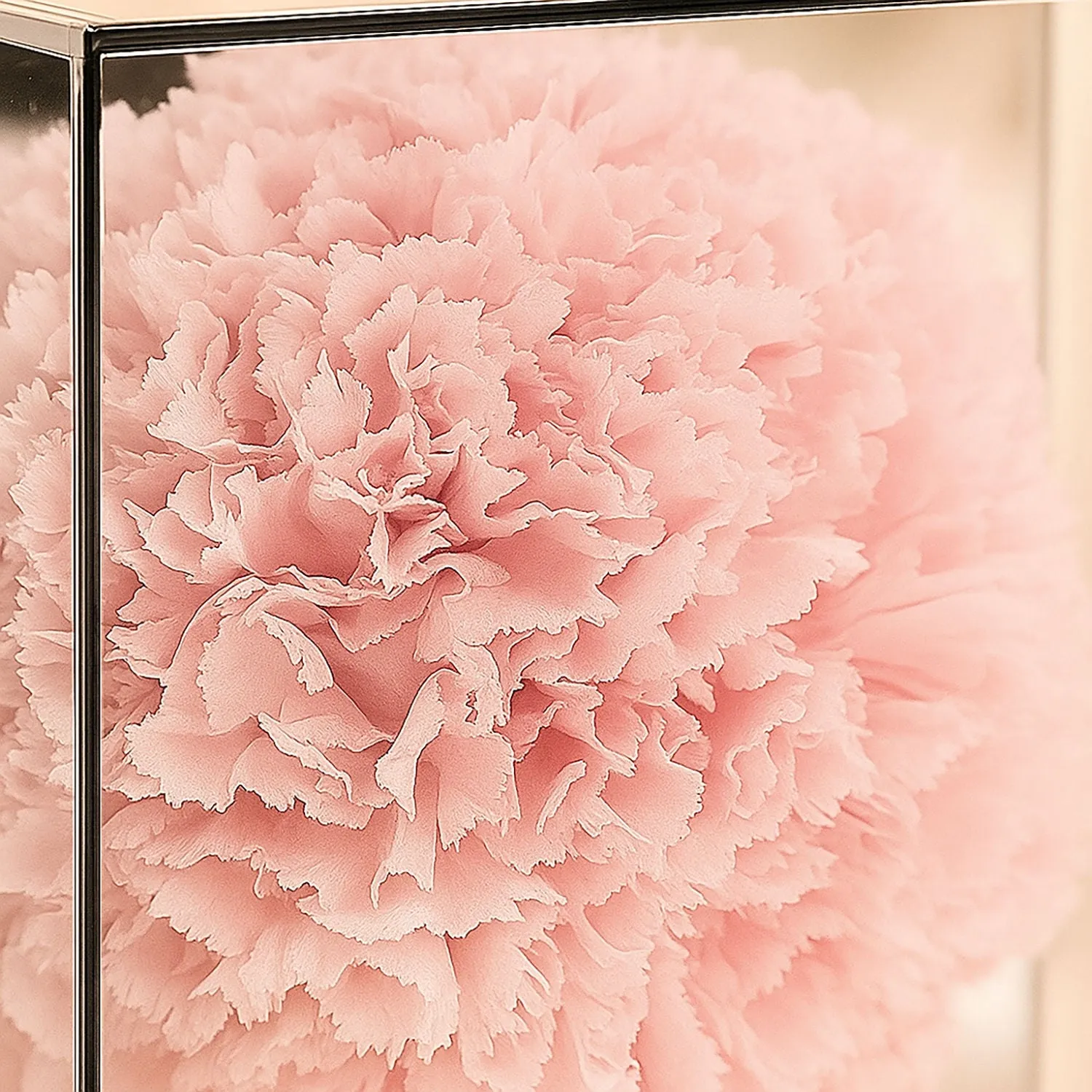 Preserved Carnation Mirror Box