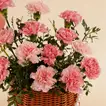 Charming Pink Blossom Basket