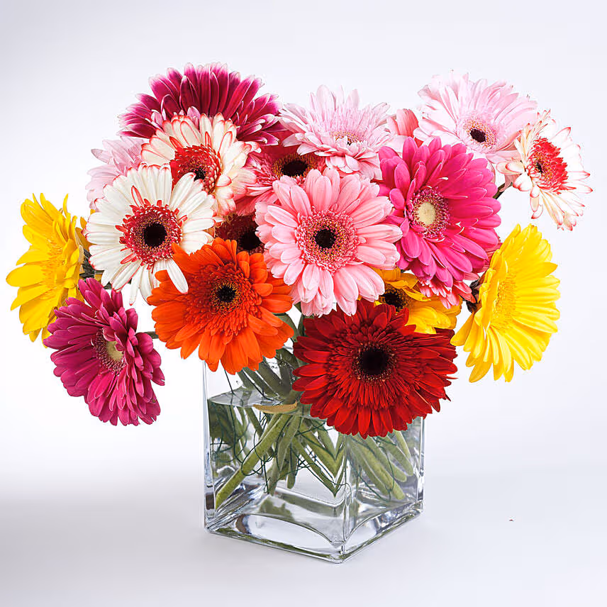 Mixed Elegant Gerberas In Glass Vase