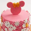 Minnie Magic Red Velvet Cake - Perfect for Celebrations