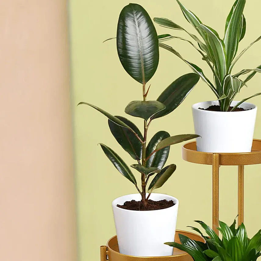 Love of Shade Plant Stand