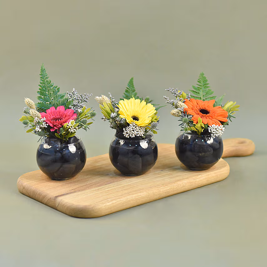 Gerberas Fish Bowl Vase Trio