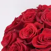 Elegant Valentine's Day Gift: 18 Red Roses in a Luxurious Pink Round Box