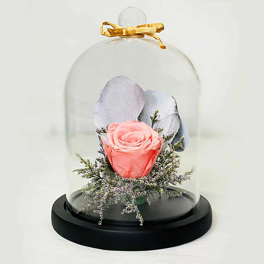 Forever Rose In Glass Dome Pink with Ferrero Rocher