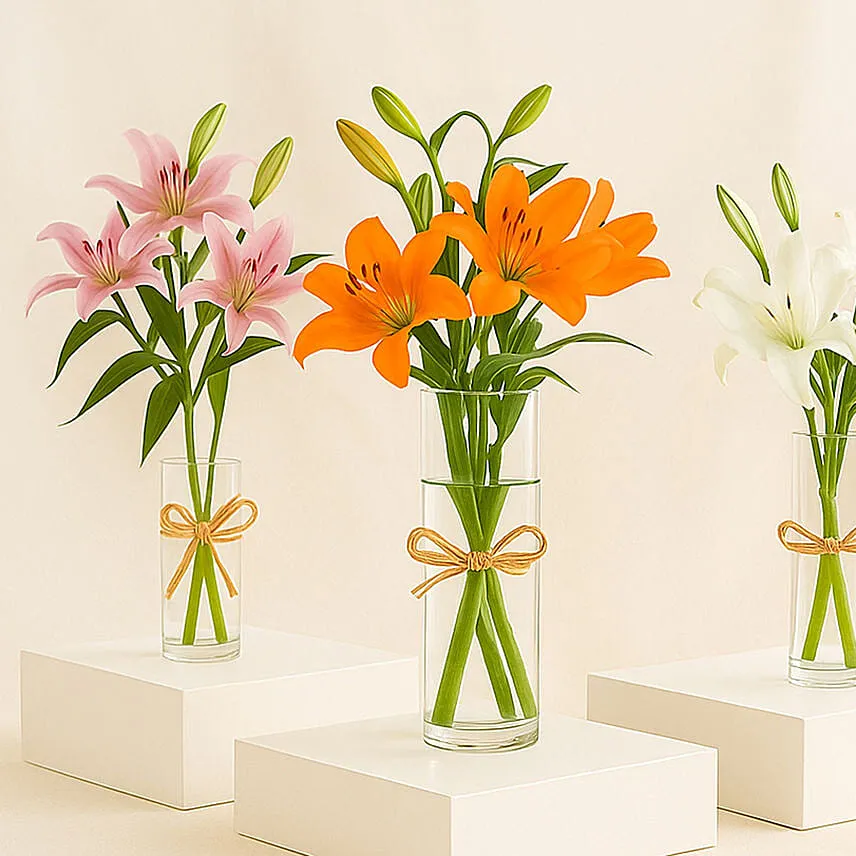 Lilies Beauty Trio