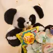 Panda Surprises Birthday Box