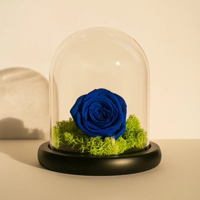 Elegant Blue Preserved Rose in Glass Dome