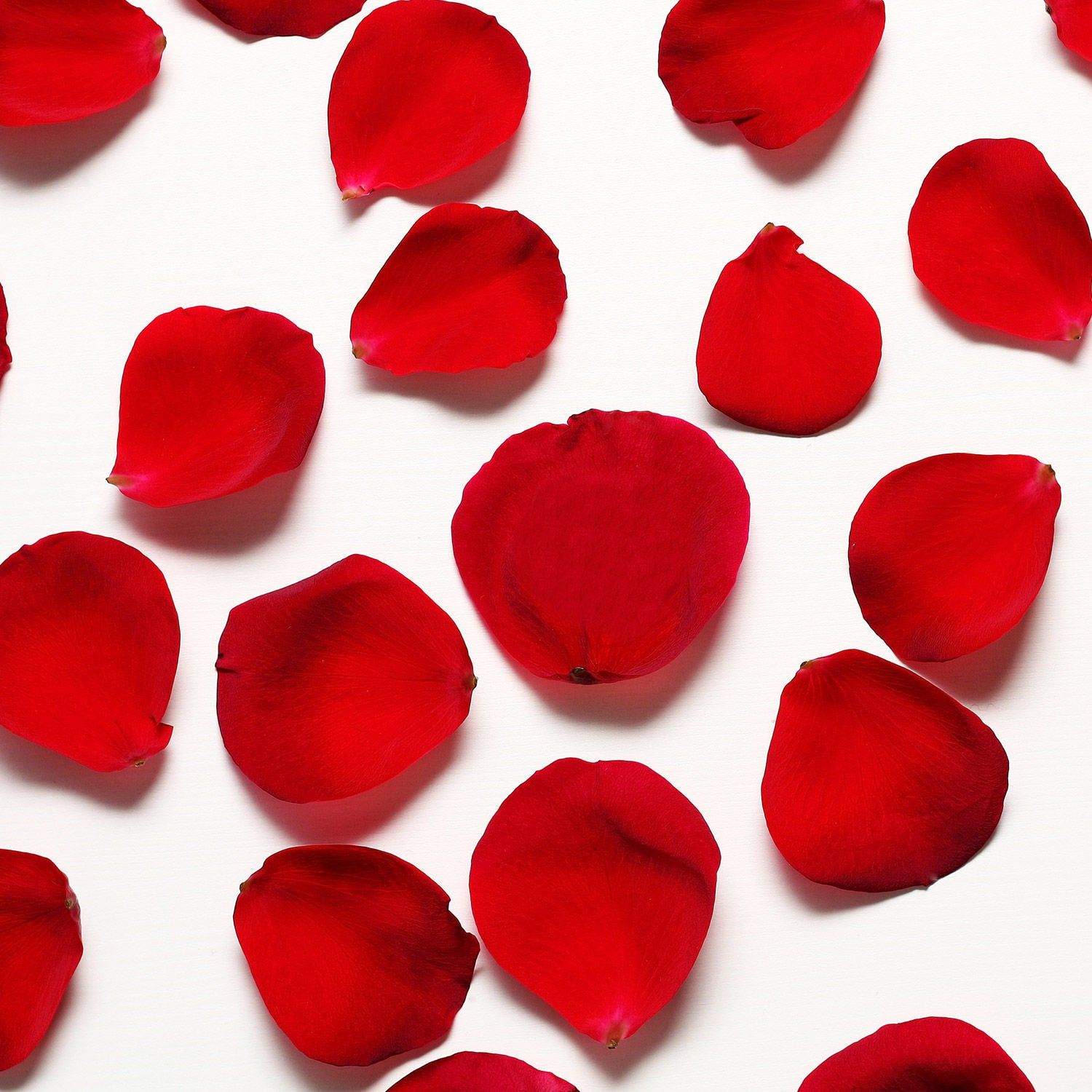 Premium Fresh Red Rose Petals - Half Kg