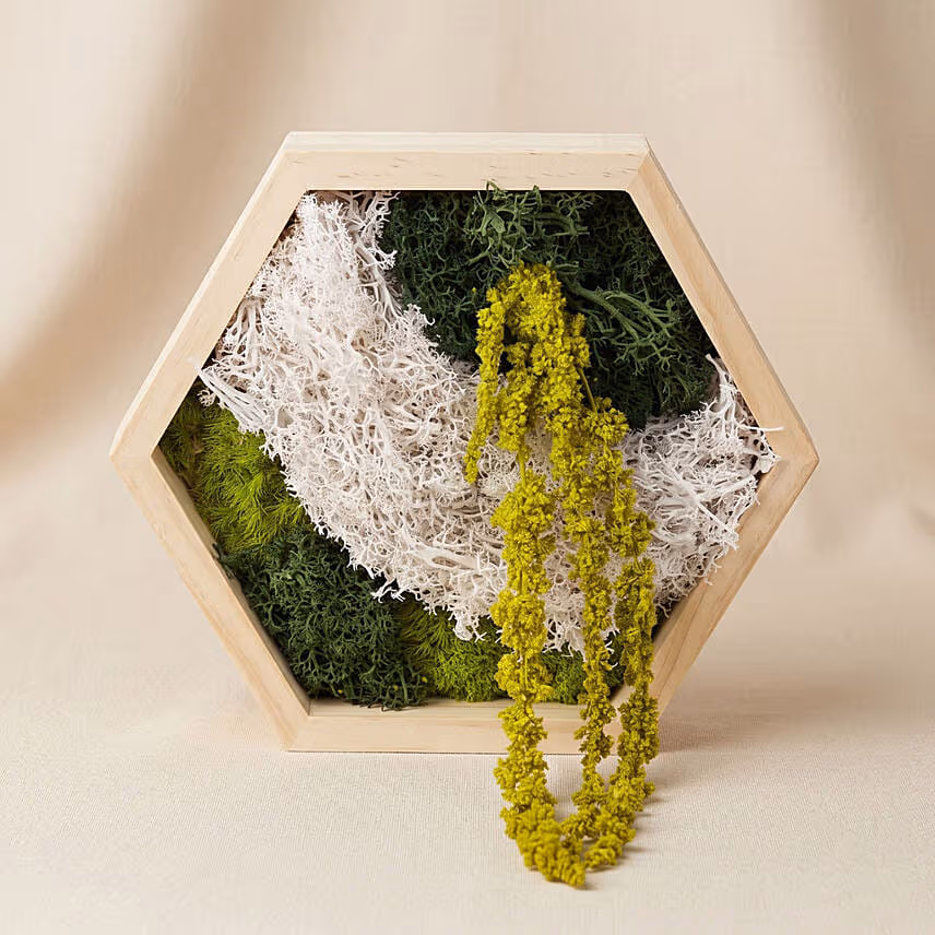 Hexagon Wooden Preserved Moss Wall Art Frame