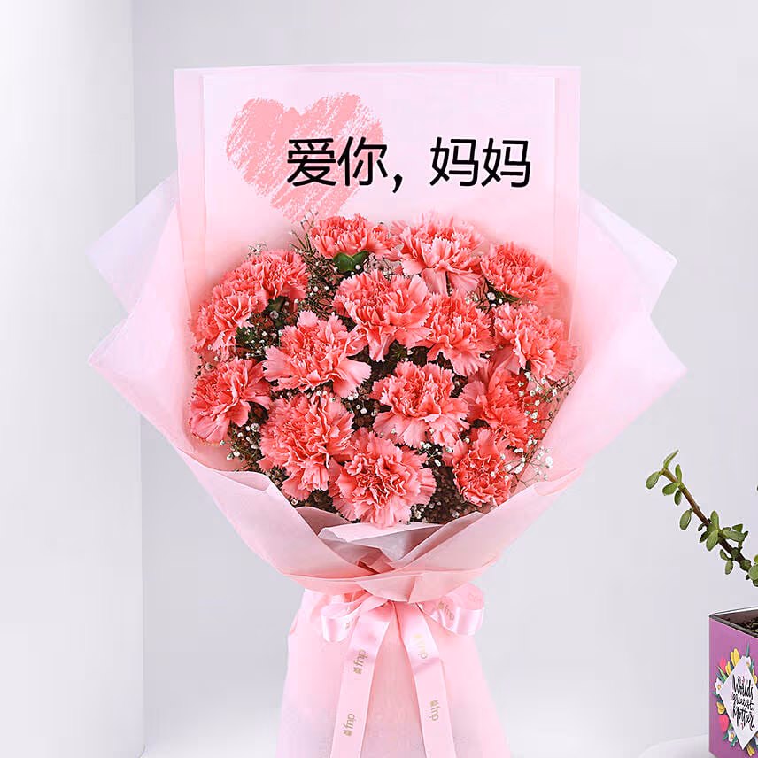 Mothers Day Carnation Bouquet with Jade Plant