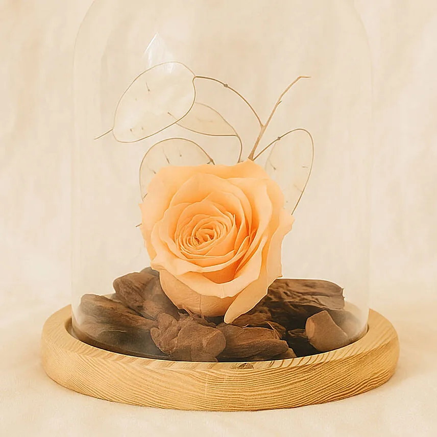 Peach Forever Rose In Glass Dome