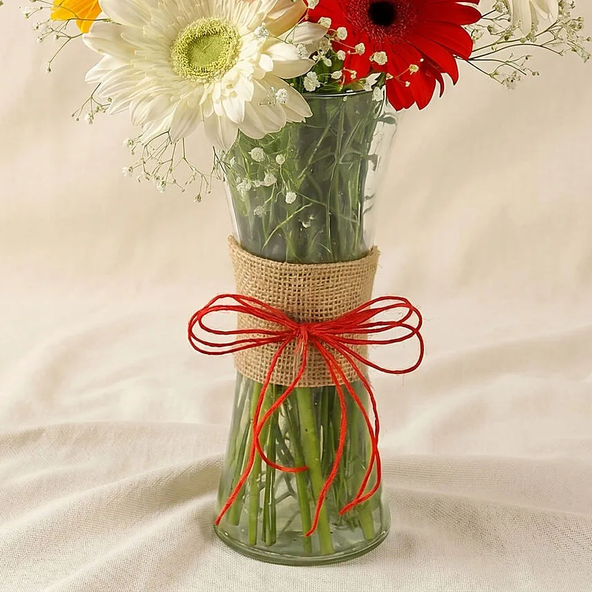 8 Mixed Brilliance Gerbera Vase