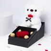 Eternal Love Gift Set | Plush Teddy & Everlasting Red Rose with Chocolates
