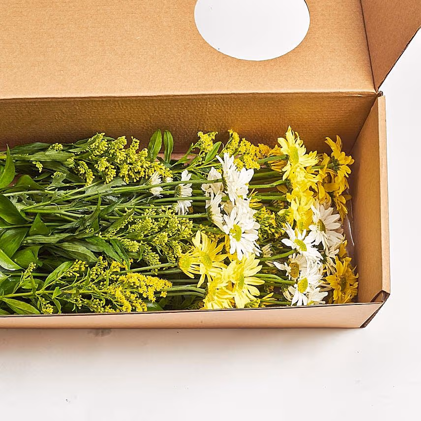Blooming Mixed Chrysanthemums Box