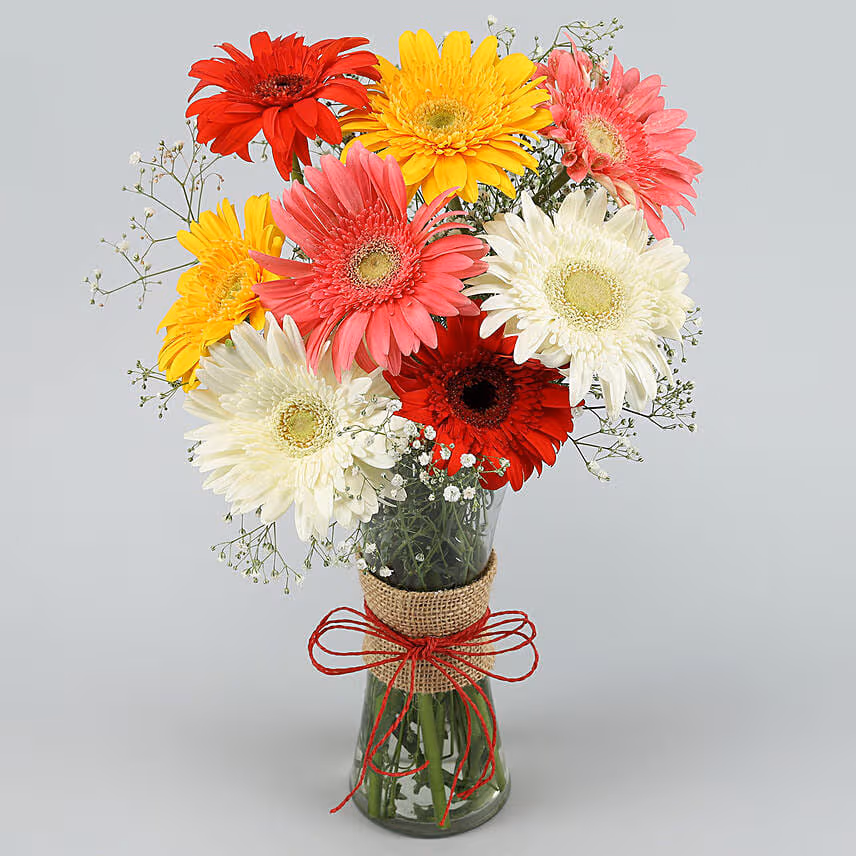 Blooming Mixed Gerbera Vase Arrangement