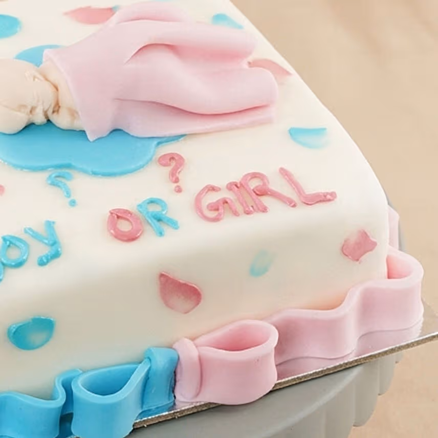 Gender Reveal Celebration Cake
