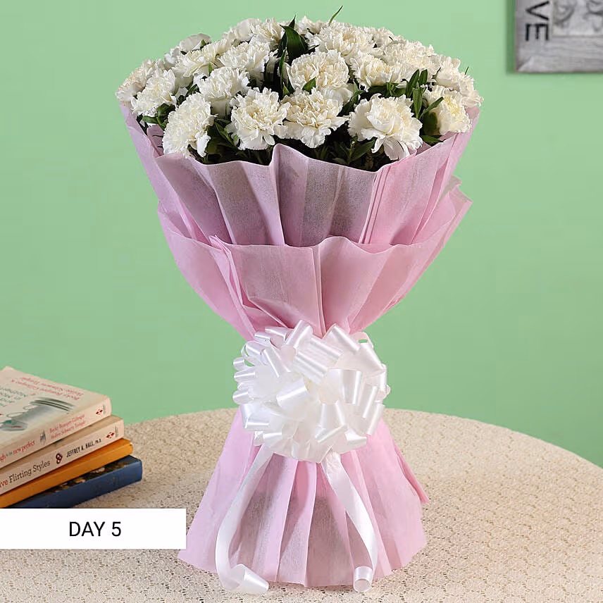 Beautiful Carnations Everyday