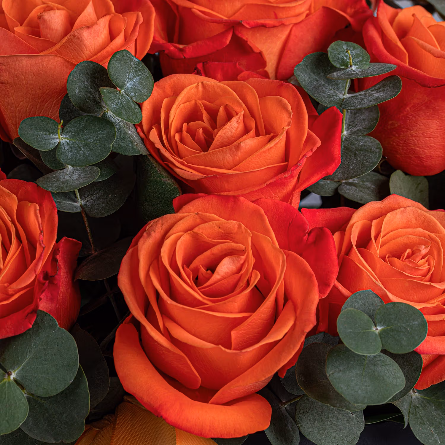 Luxurious Kenooz Gift Set with 15 Orange Roses and Fragrant Delights