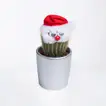 Festive Xmas Cactus in Decorative Silver Pot with Santa Hat