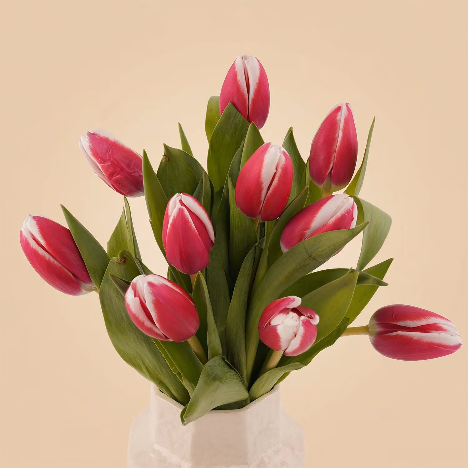 مزهرية عبير التوليب الساحرة