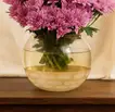 مزهرية ورد اقحوان راقية