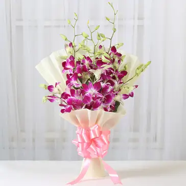 Impressive Orchids Flowers Bunch