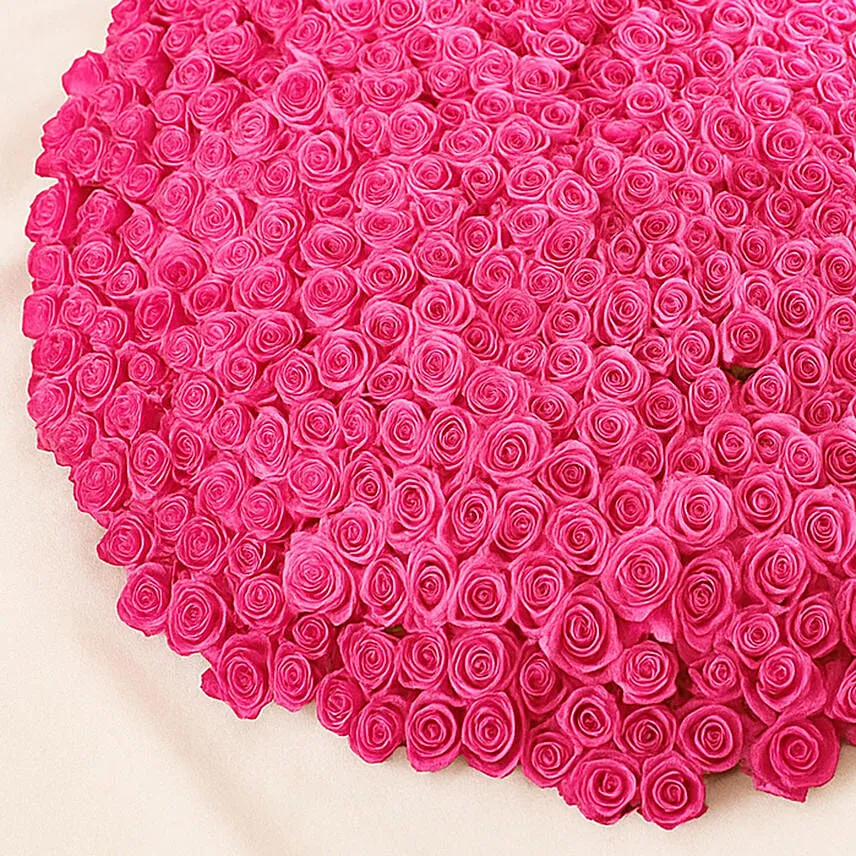 500 Dark Pink Roses Arrangement