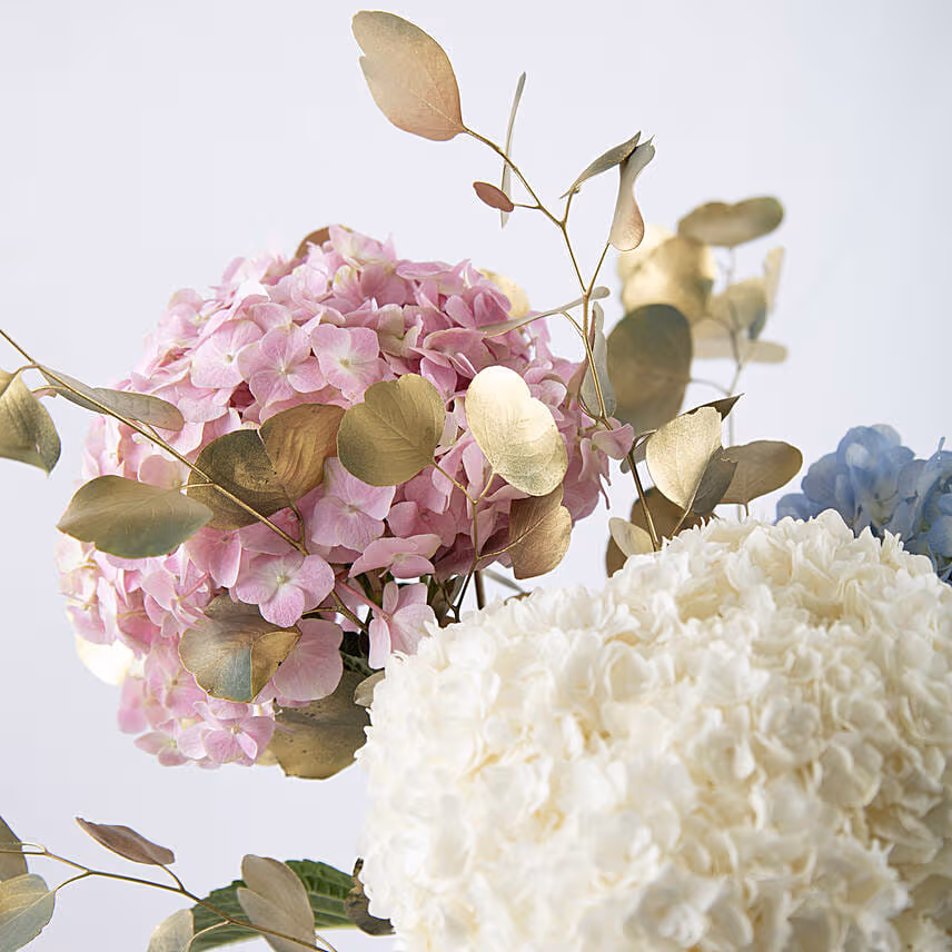 Sublime Hydrangeas