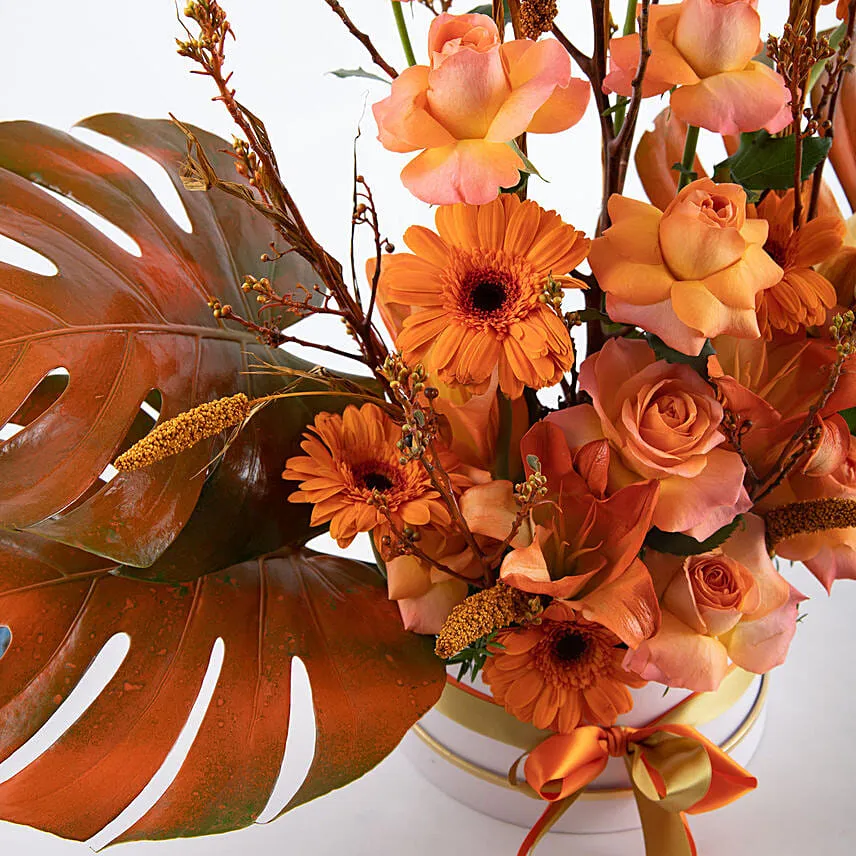 Shades of Orange