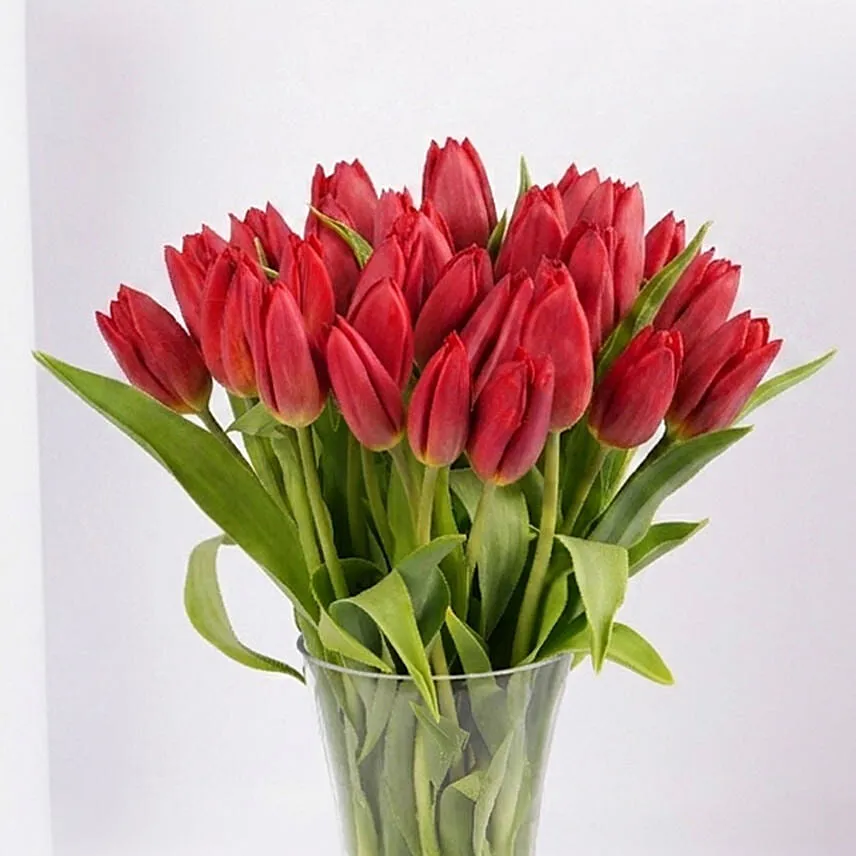 Red Tulip Arrangement Deluxe