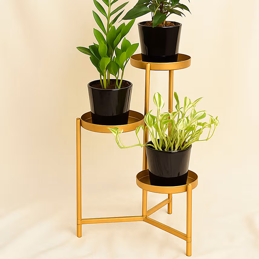 Welcome Good Luck To Home Plant Stand