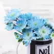 Personalized Blue Daisy Flower Mug Arrangement with Photo