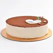 Exquisite Velvet Tiramisu Celebration Cake
