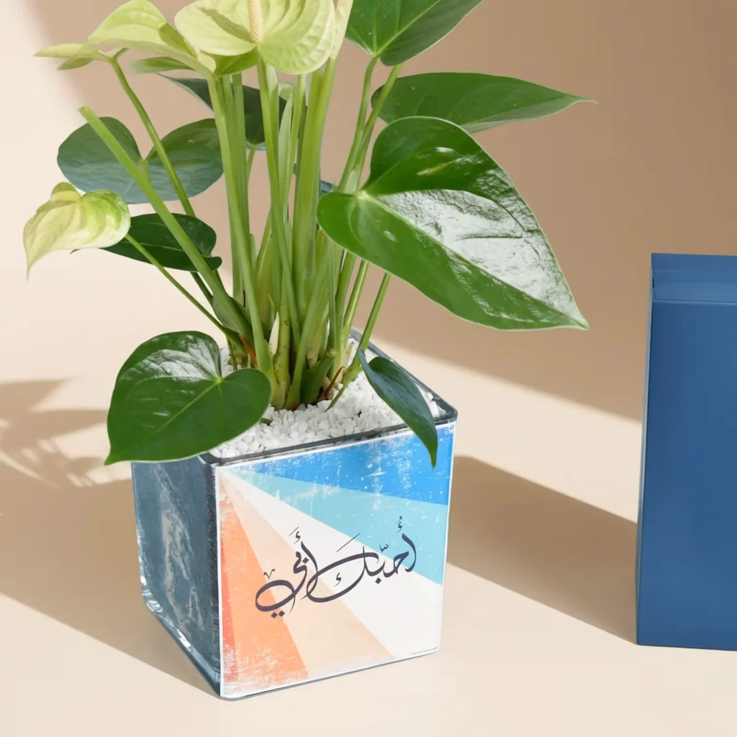 Celebrate Dad with White Anthurium & Shaghaf Oud Azraq Perfume Gift Set