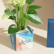 Celebrate Dad with White Anthurium & Shaghaf Oud Azraq Perfume Gift Set