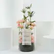 Burberry London Perfume for Her with Elegant Baby Rose Vase Set