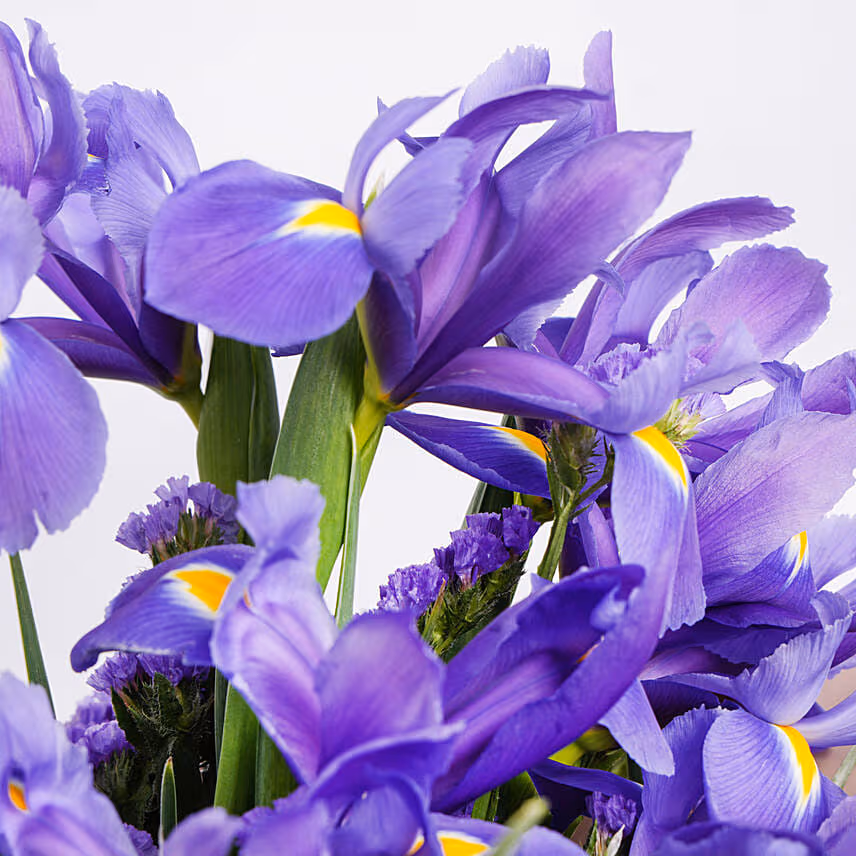 February Birthday Iris Flowers Bouquet