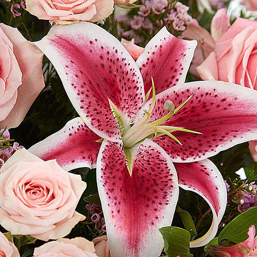 Alluring Blooms