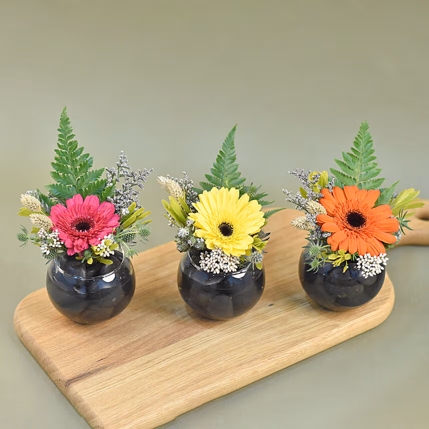 Gerberas Fish Bowl Vase Trio