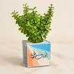 Jade Plant Father's Gift | Ceramic Pot