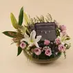 Lily & Purple Rose Arrangement with Cerruti Necklace